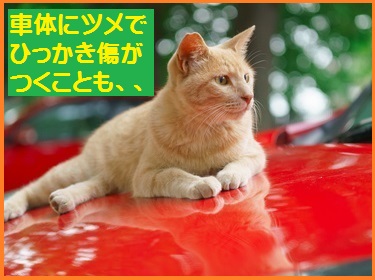 電子式猫よけ装置 12v車用 車 猫来ない エンジンルーム猫 車の下 超音波 フラッシュ 猫害 糞害 野良猫 対策 駆除 ネズミ サル 猿 果樹園 自動車 ネコ おしっこ 毛玉 ひっかきキズ 爪 足跡 カー用品通販のto Fit ツーフィット